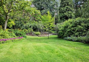 Optimiser l'expérience du jardin à Vauchonvilliers